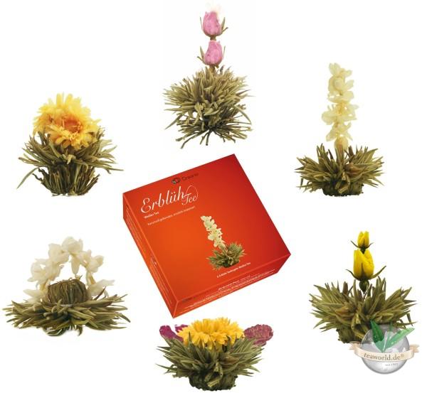 Erblüh Tee Nachfüllbox Frühjahrslese 6er von der Creano GmbH