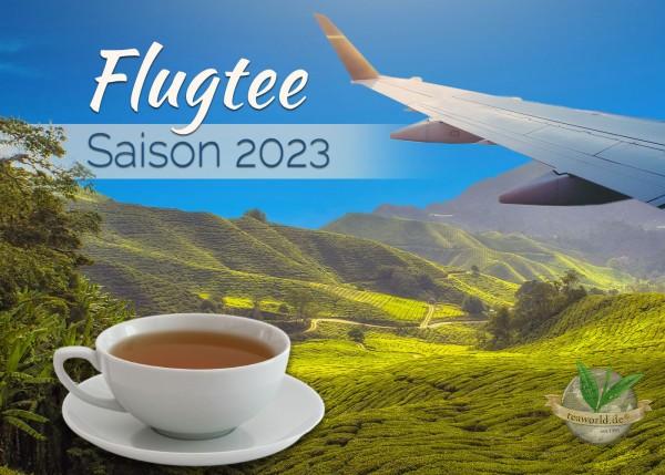 Bio Darjeeling Flugtee first flush SFTGFOP1 CHAMLING EX1 Ernte 2023