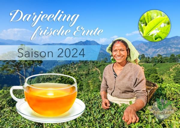 Bio Darjeeling first flush FTGFOP1 TUMSONG Ernte 2023