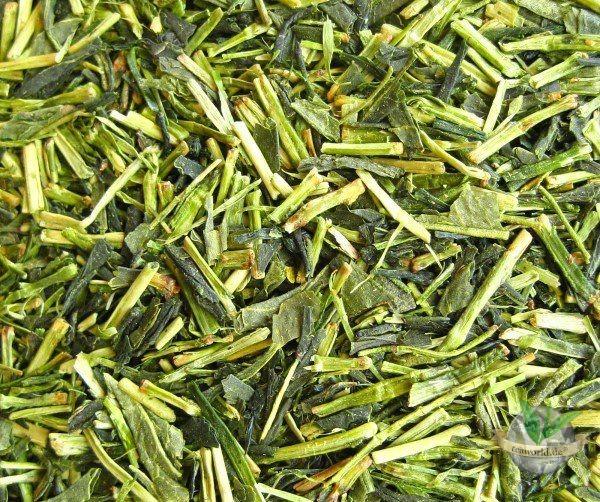 Japan Kukicha - Grüner Tee