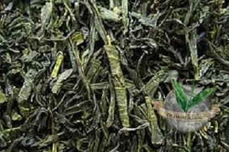 Gabalong aus Japan Grüner Tee