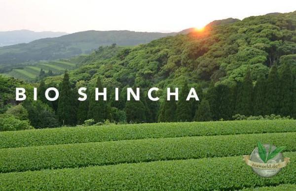 Kabuse Bio Shincha Classic Ernte 2020 - 200g - Keiko Tee